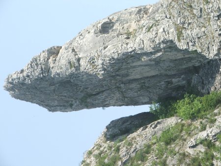 img071.jpeg.medium.jpeg