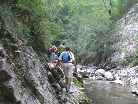 img079.jpeg.medium.jpeg