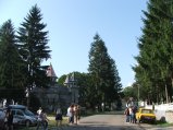 img125.jpeg.small.jpeg