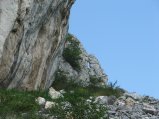 img137.jpeg.small.jpeg