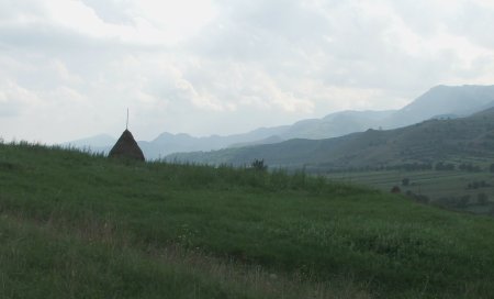 img154.jpeg.medium.jpeg