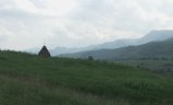 img154.jpeg.small.jpeg