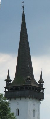 img172.jpeg.medium.jpeg